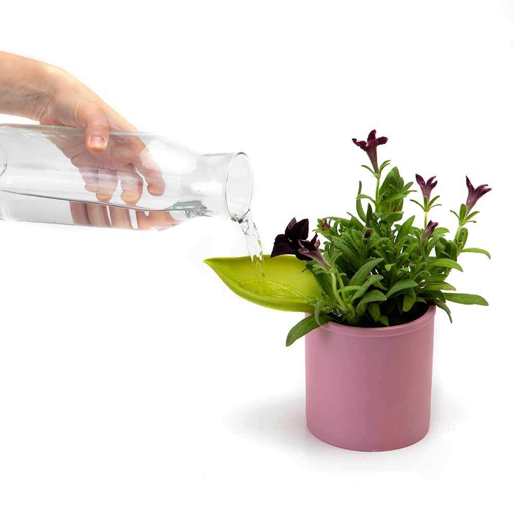 Peleg Design Leaflow - Pot Watering Funnel